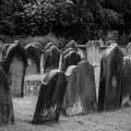 Image for Mortality