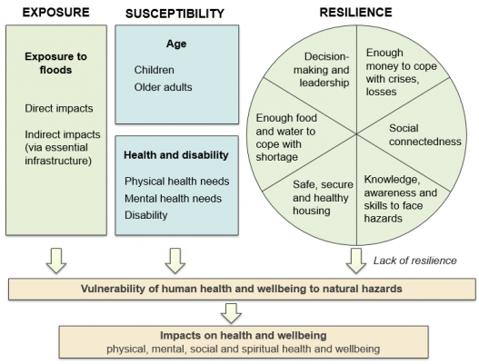 conceptual framework