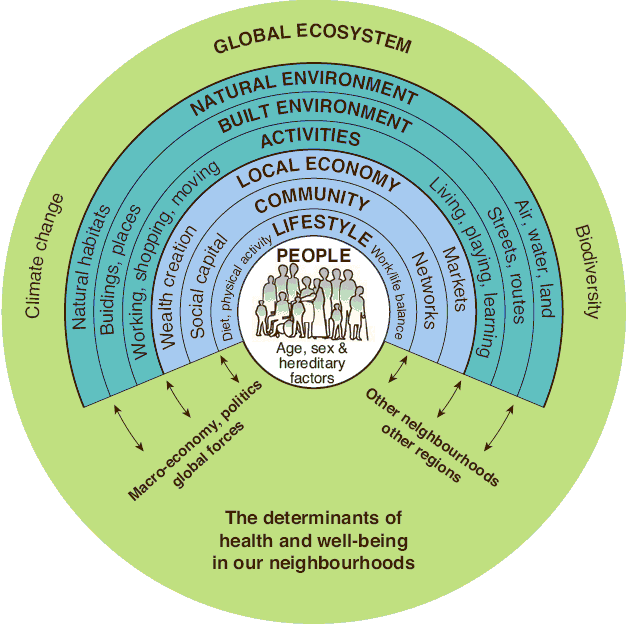 Fig 1: Determinants of health and well-being in our neighbourhoods